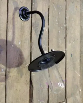 Coughtrie Wall Mount Swan Neck Light SEB 45 deg c/w Glass